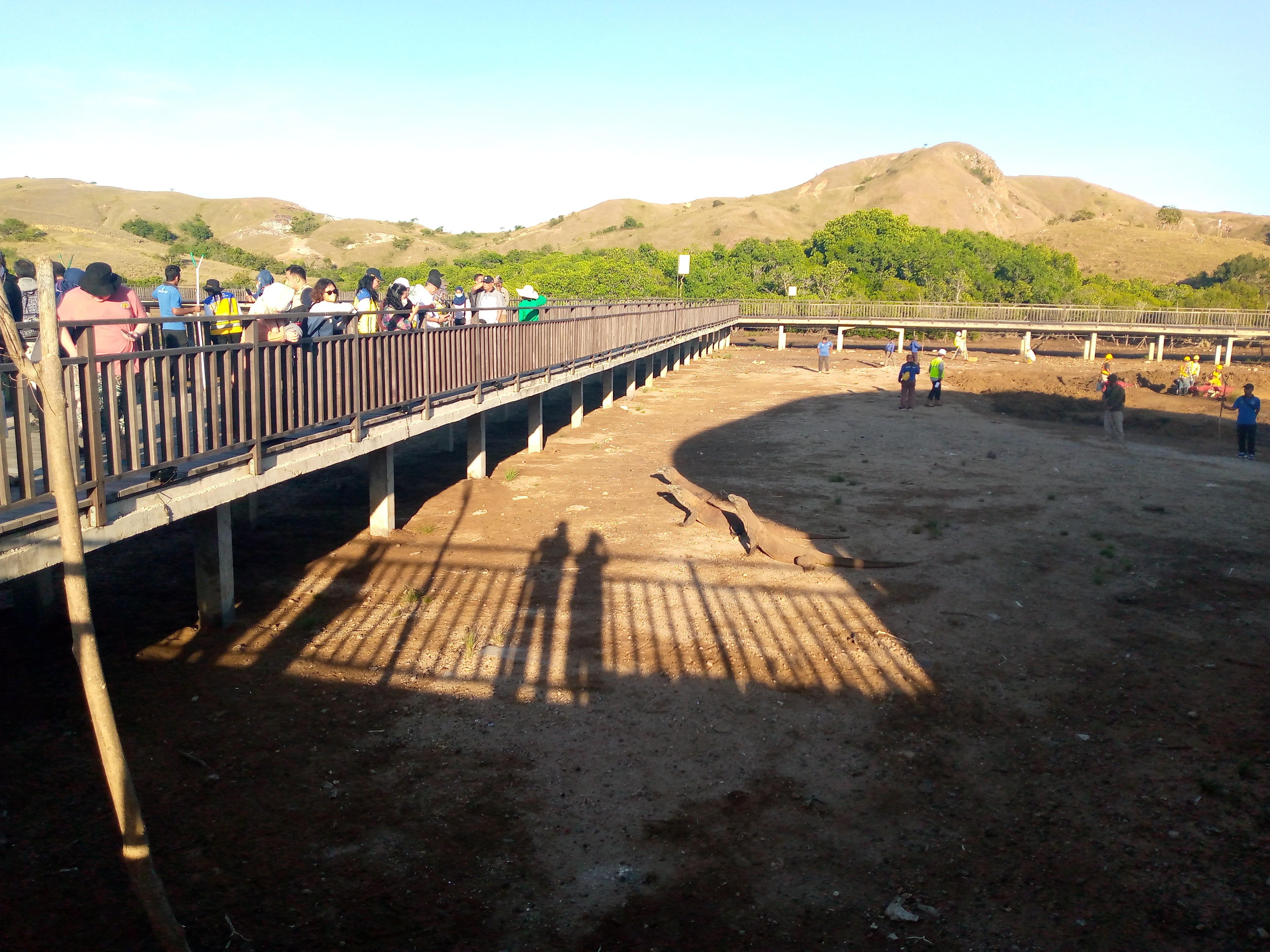 Pengunjung berjalan di atas deck lantai berpapan kayu besi berpagar menikmati suasana Loh Buaya, Pulau Rica, TN Komodo, NTT.