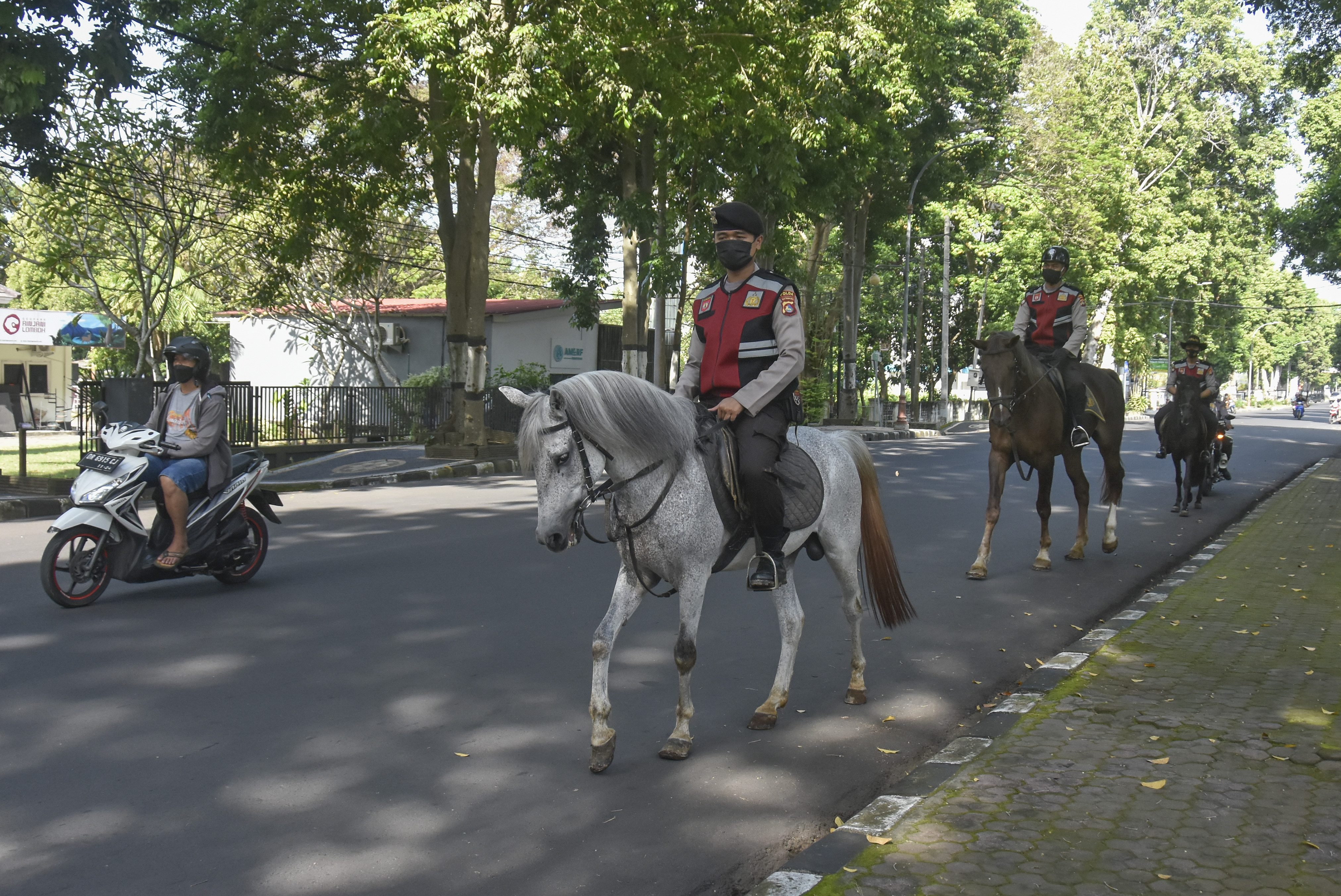 Polisi berkuda dari Unit Polisi Satwa Turangga Direktorat Samapta Polda NTB secara rutin berpatroli di Kota Mataram.