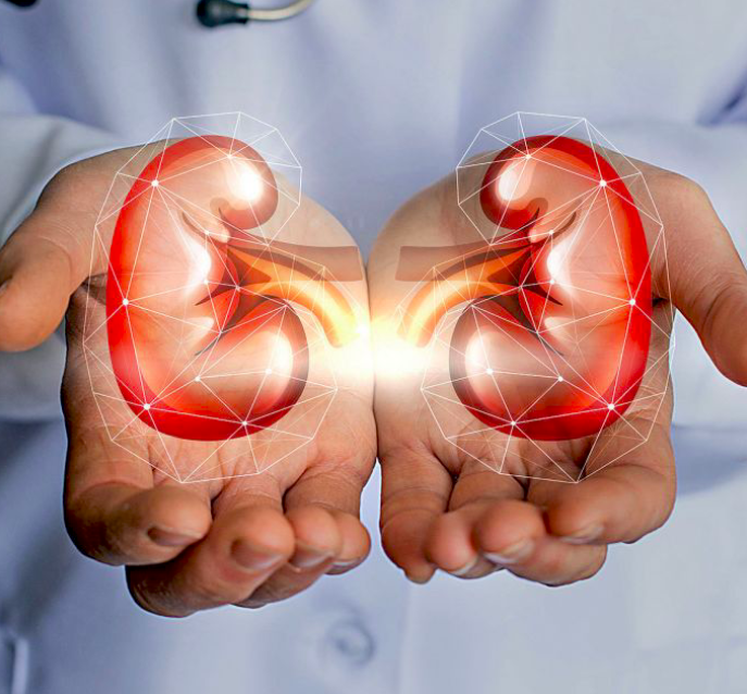 Angka Kasus Baru dan Kematian Gagal Ginjal Menurun Saat Pelarangan Penggunaan Obat Sirop