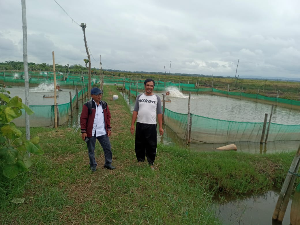 Ruddy Sutomo di tengah tambak pembesaran sidat miliknya di Cilacap, Jawa Tengah