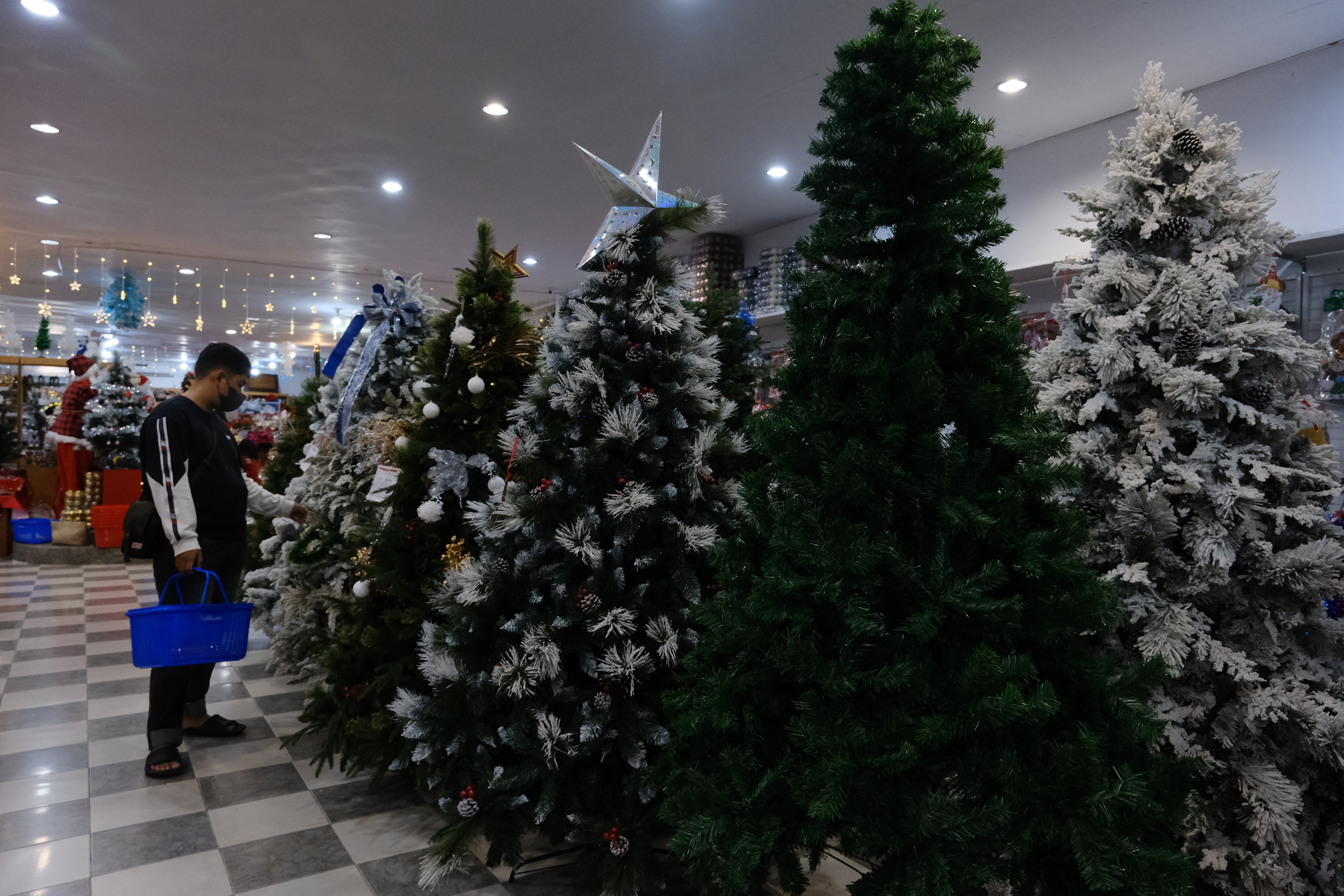 Seorang pengunjung memilih-milih pohon Natal yang dipajang di Toko Hosana, Pontianak, Kalimantan Barat.