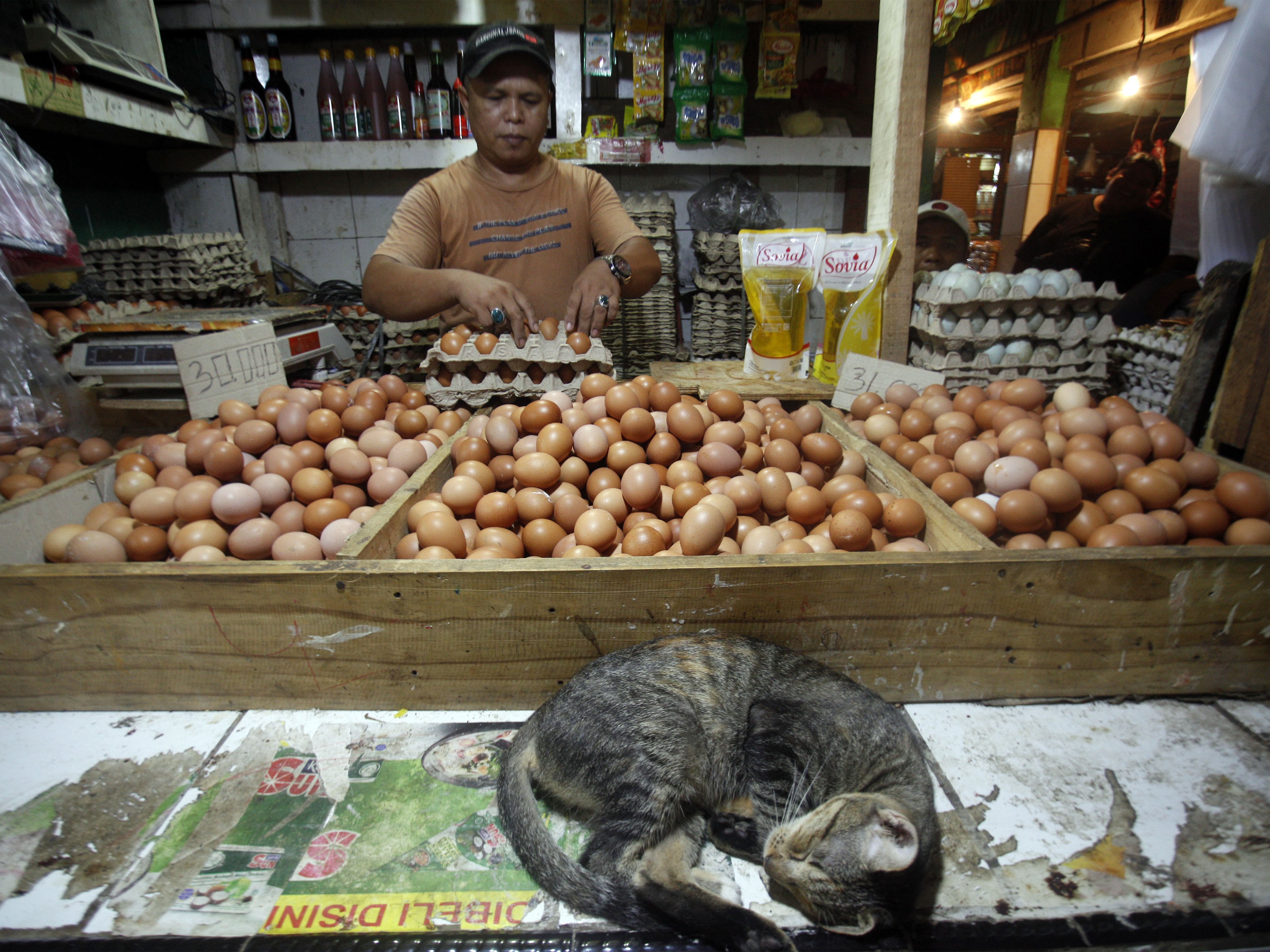 Pedagang menata telur yang dijual di Pasar Cibinong, Kabupaten Bogor, Jawa Barat, Kamis (1/12/2022).