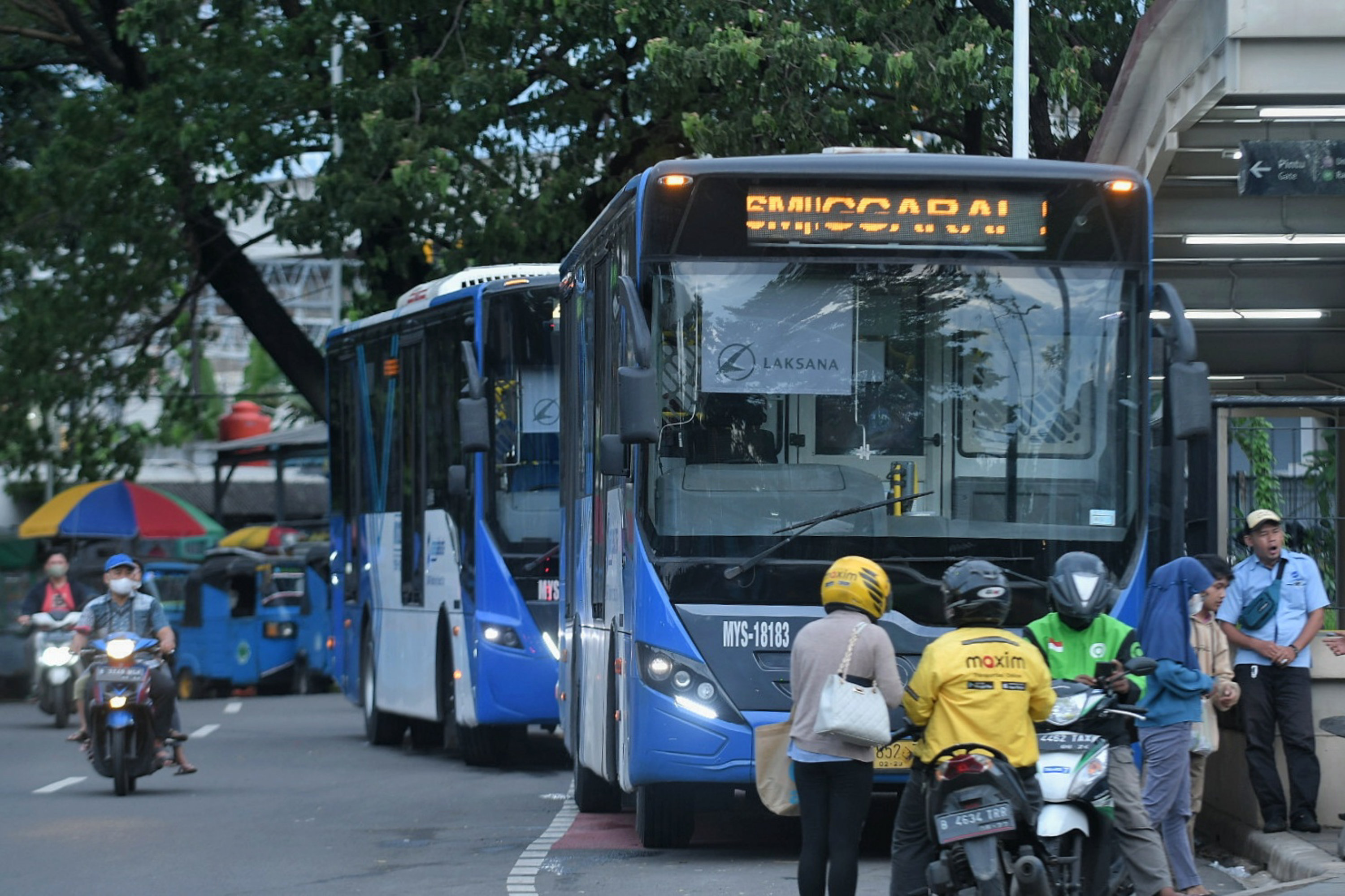 Ilustrasi bus TransJakarta