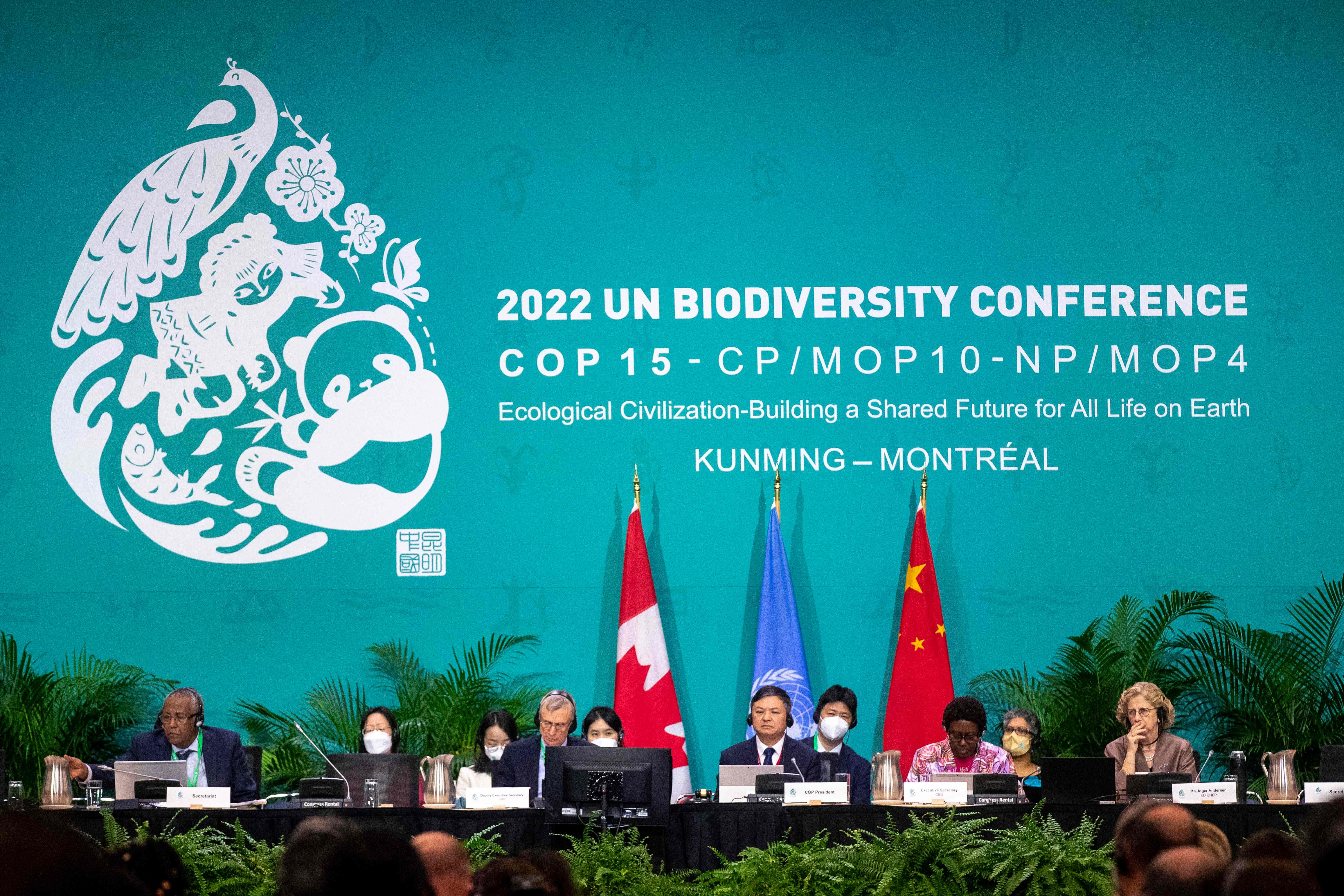 Suasana Konferensi Bioviersitas PBB di Montreal, Kanada.