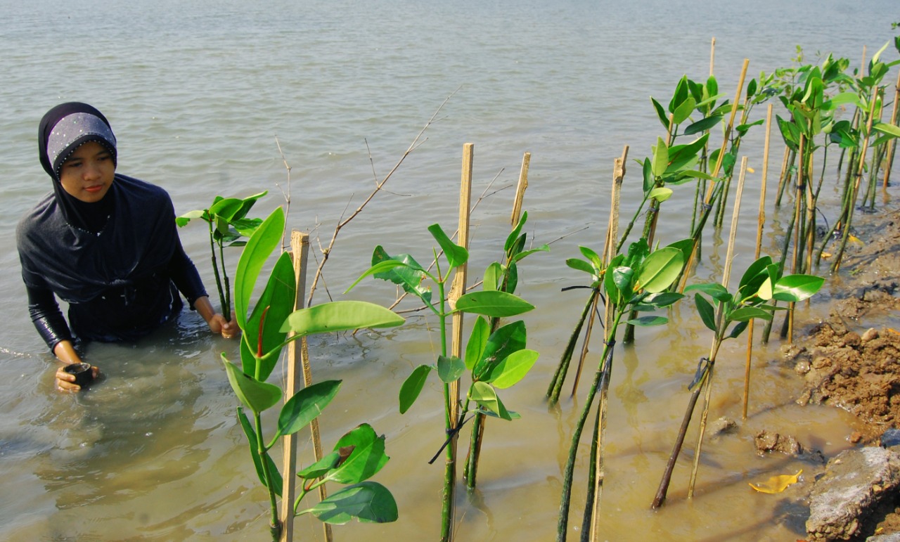 Upaya Mencegah Kenaikan Suhu Global Masih Lamban