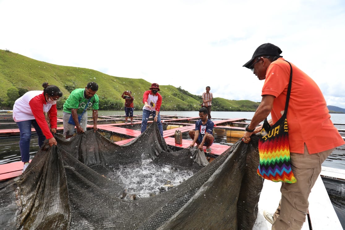 Papua Muda Inspiratif (PMI) dan BIN terus turun langsung ke lapangan melakukan kegiatan pemberdayaan ekonomi masyarakat di Papua.