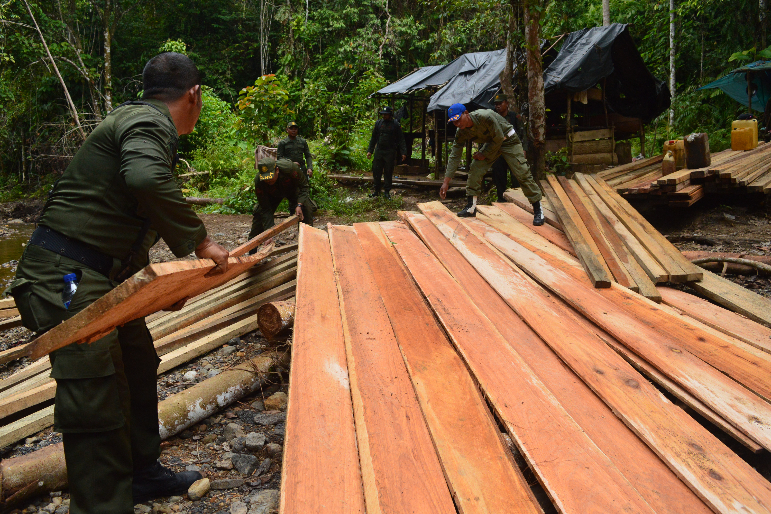 KAYU OLAHAN ILEGAL: Polisi hutan memeriksa temuan kayu olahan saat patroli di kawasan pedalaman hutan Desa Ie Mirah, Babahrot, Aceh Barat.