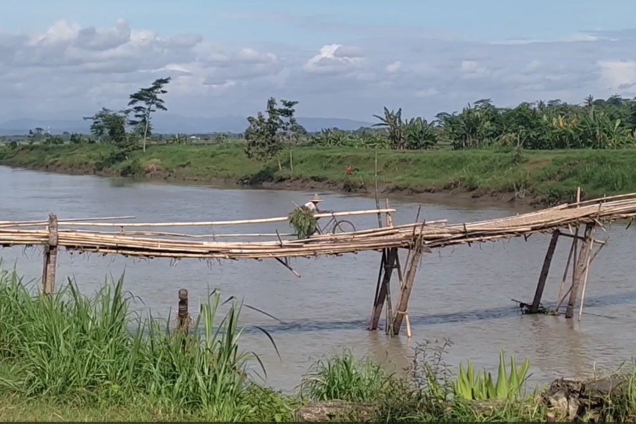 Warga melalui jembatan kayu yang rusak di Kebumen, Jawa Tengah. 