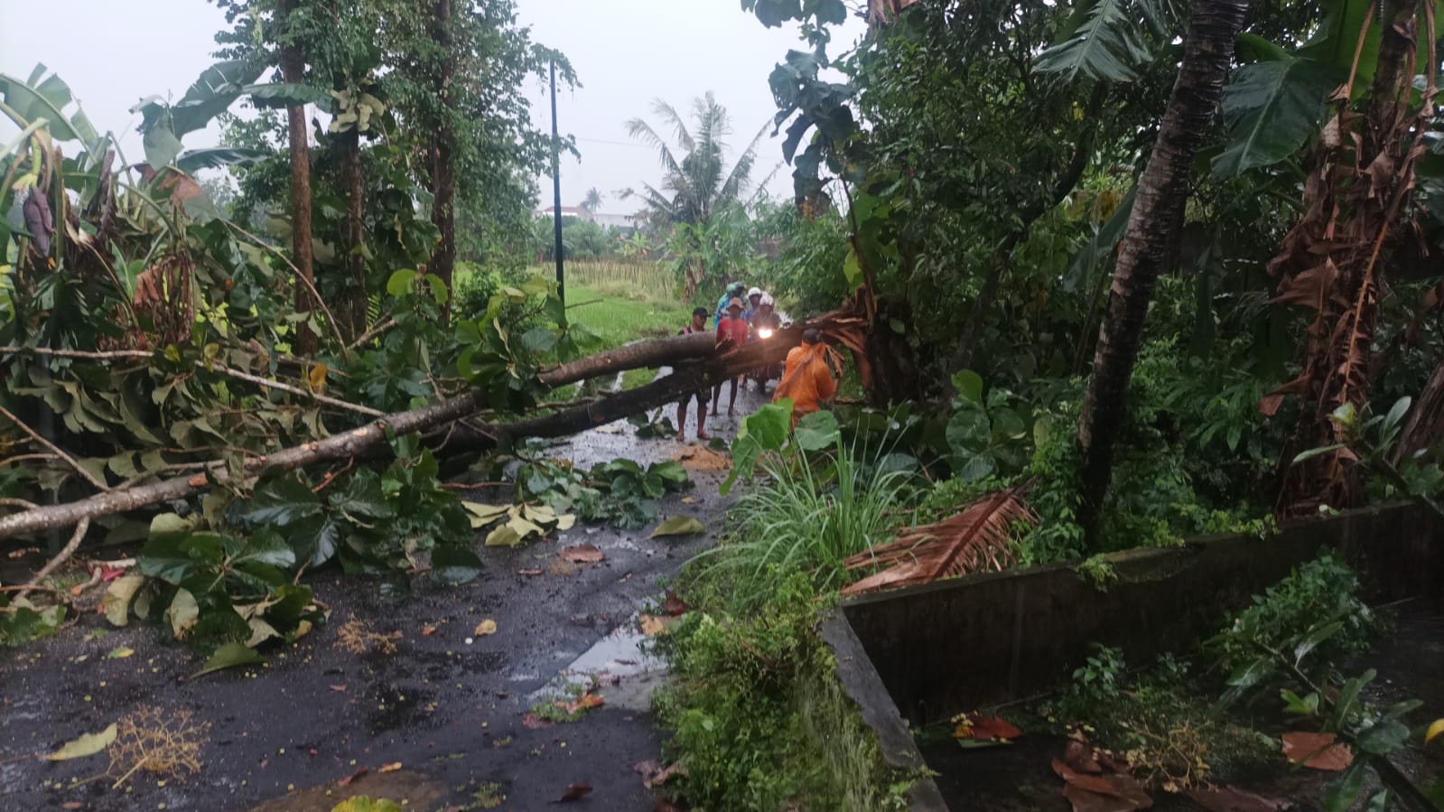 Hujan Lebat Disertai Angin Kencang Landa Sejumlah Desa di Klaten