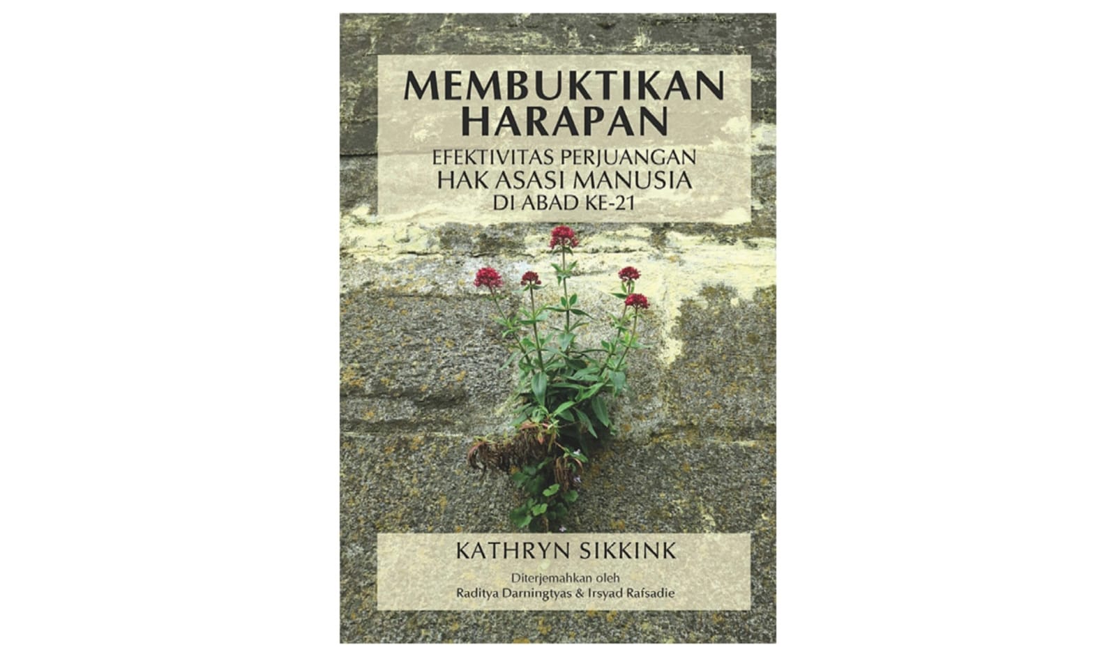 Cover buku Membuktikan Harapan: Efektivitas Perjuangan HAM di Abad Ke-21.