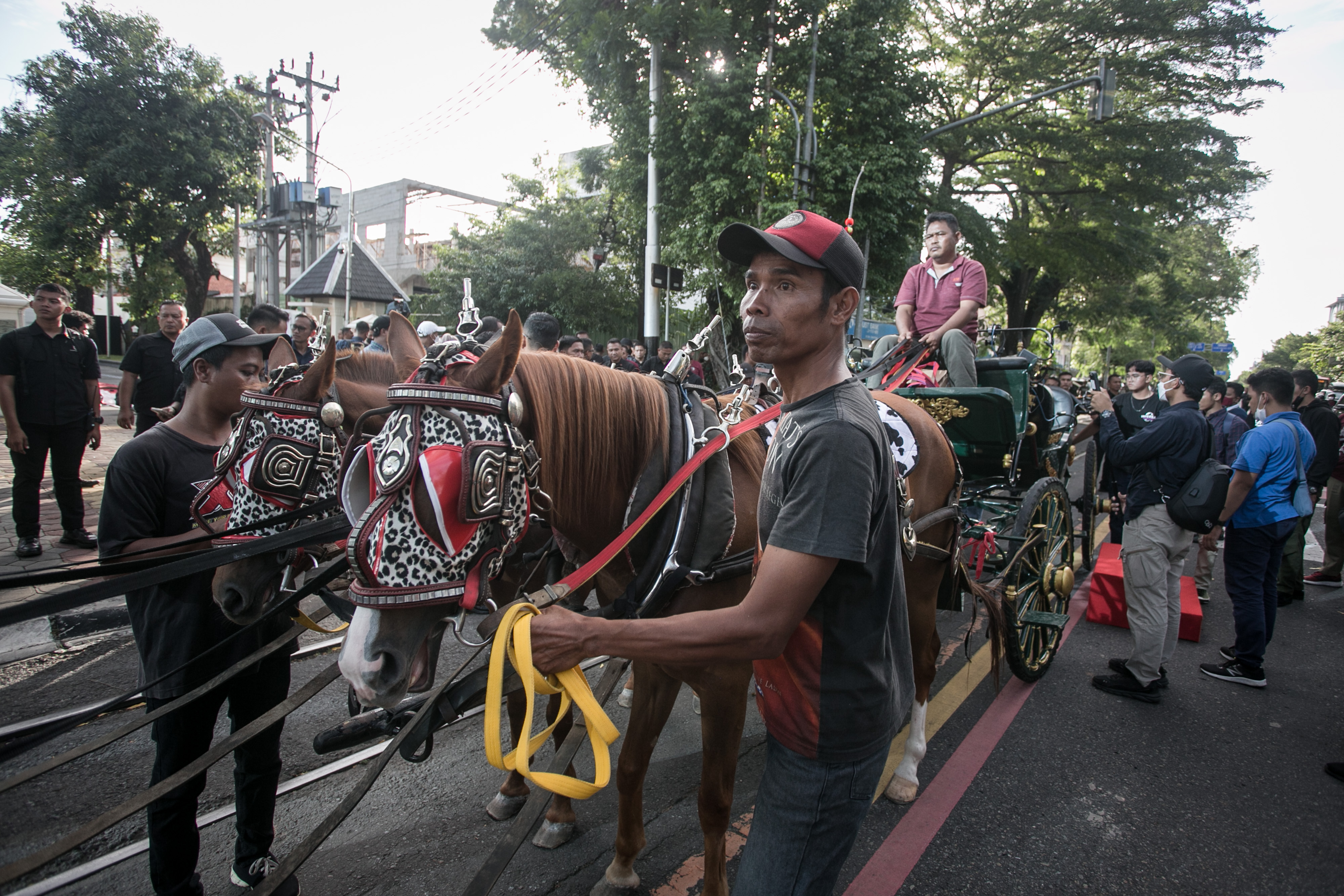 Petugas penarik kereta mempersiapkan kuda penarik kereta kencana saat Gladi Bersih Kirab Pernikahan Kaesang dengan Erina di Loji Gandrung.