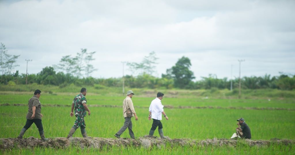 Lokasi Food Estate Kabupaten Kapuas, Kalimantan Tengah.