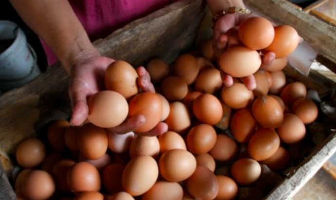 Ilustrasi stok telur pedagang di pasar tradisional.