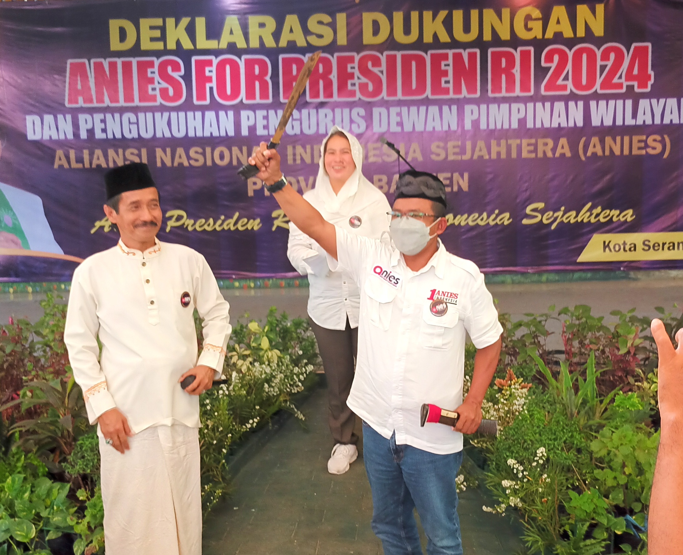 Deklarasi ANIES