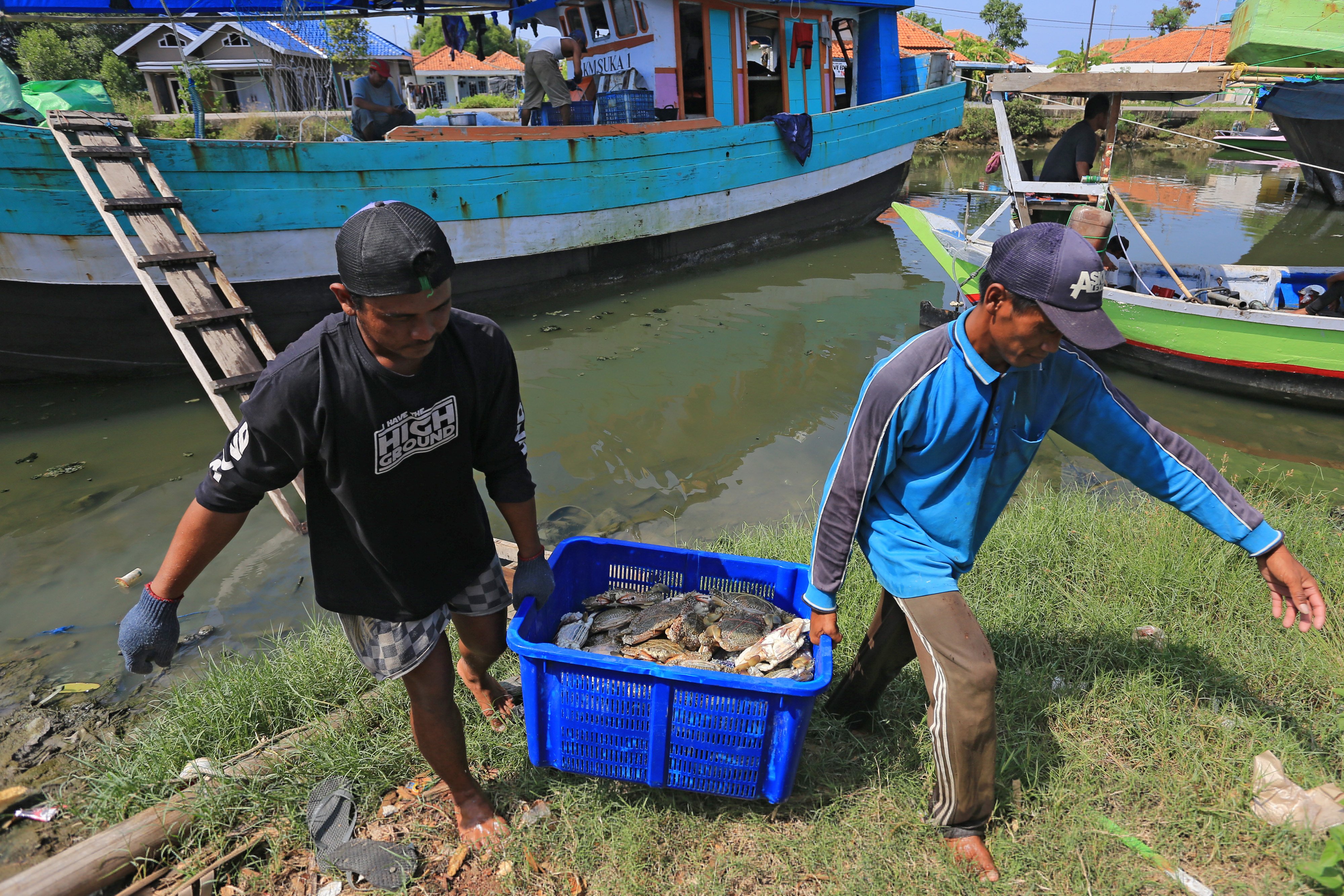 Nelayan mengangkut rajungan hasil tangkapan di Karangsong, Indramayu, Jawa Barat