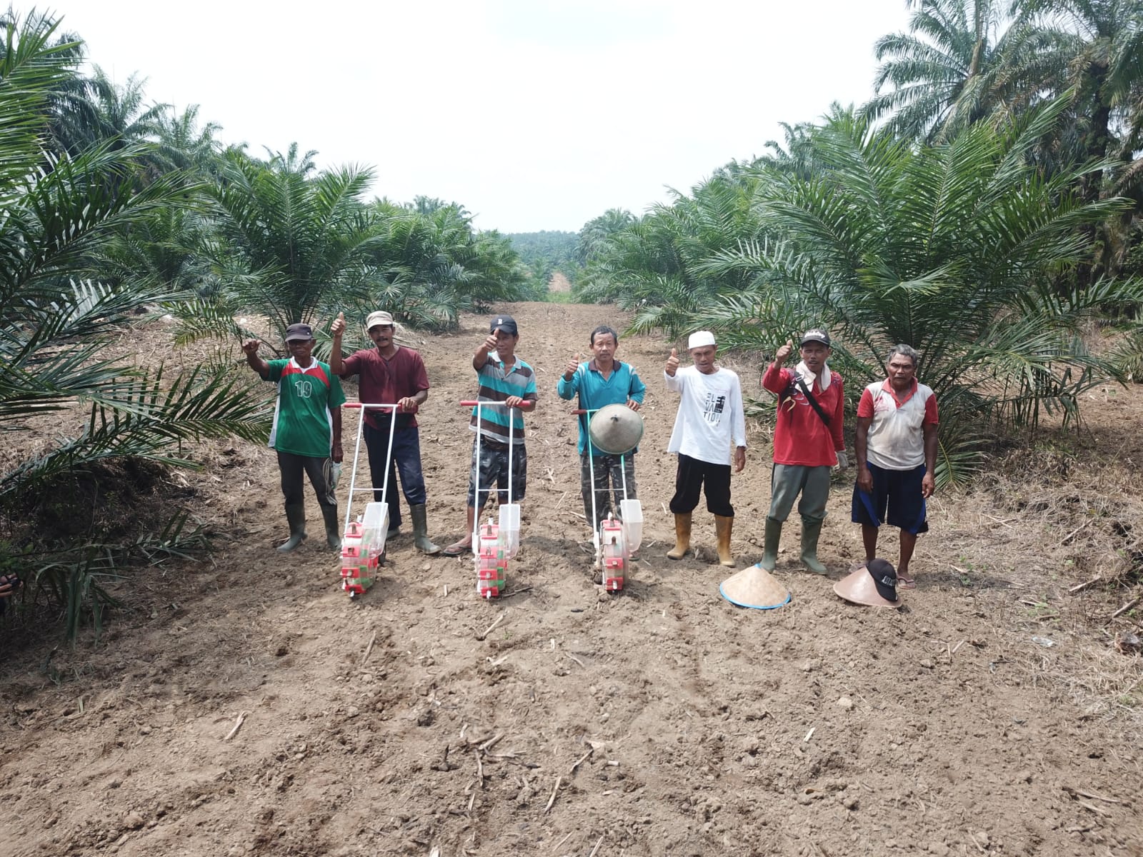 Pertamina Komitmen Dorong Penguatan Ketahanan Petani Sawit