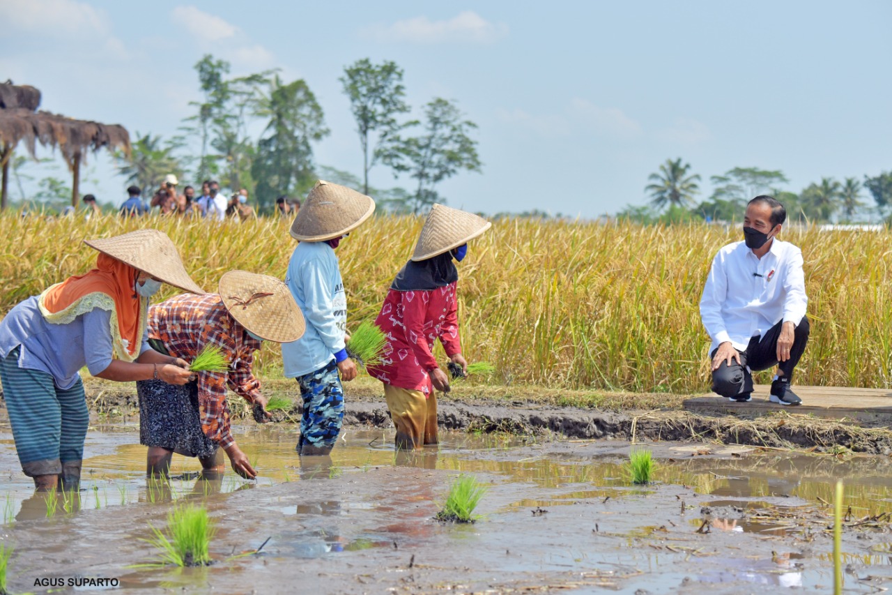 Presiden Joko Widodo berdiskusi dengan petani