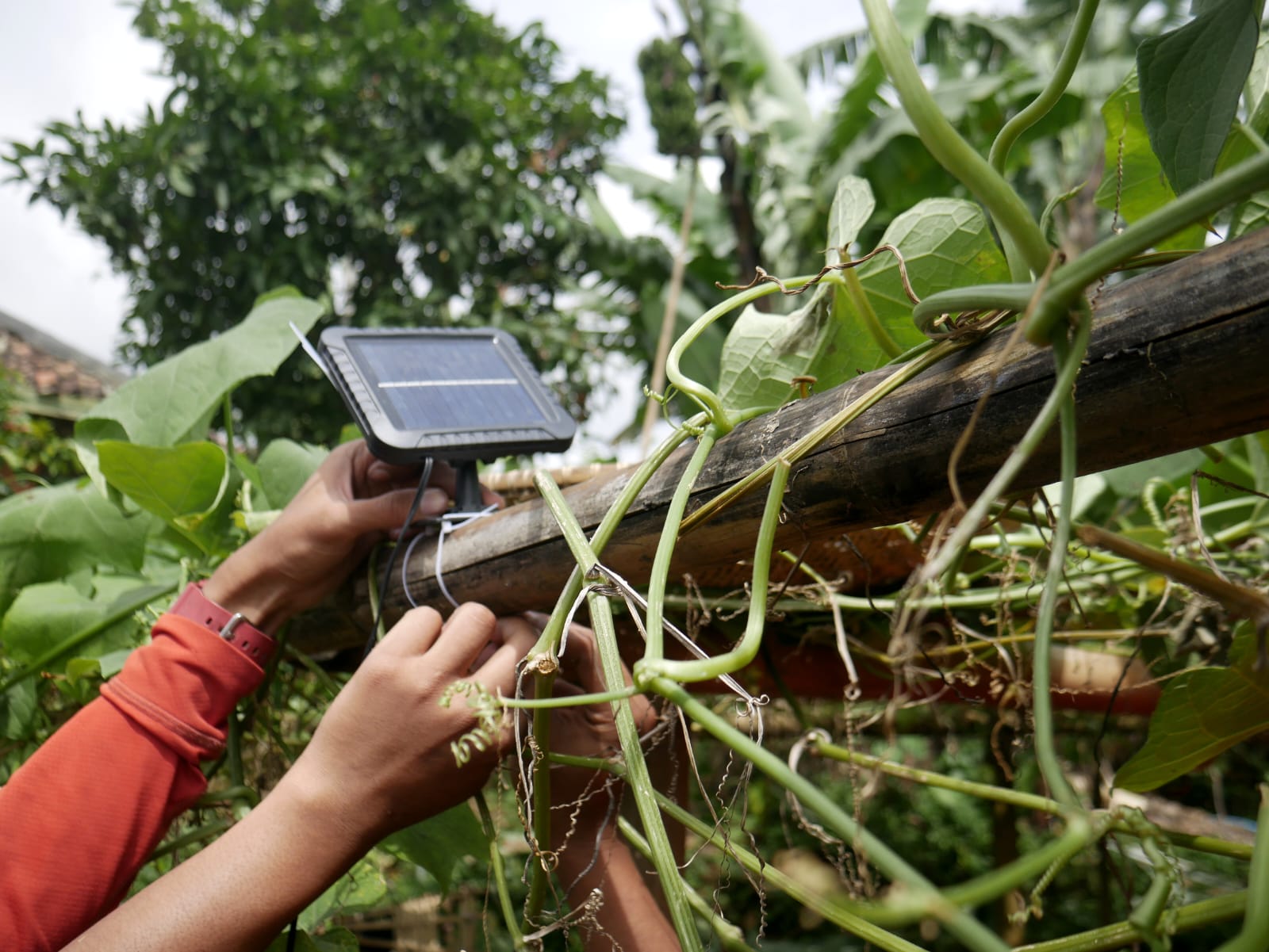 Pemasangan panel surya untuk membantu pelistrikan di lokasi pengungsian korban gempa Cianjur