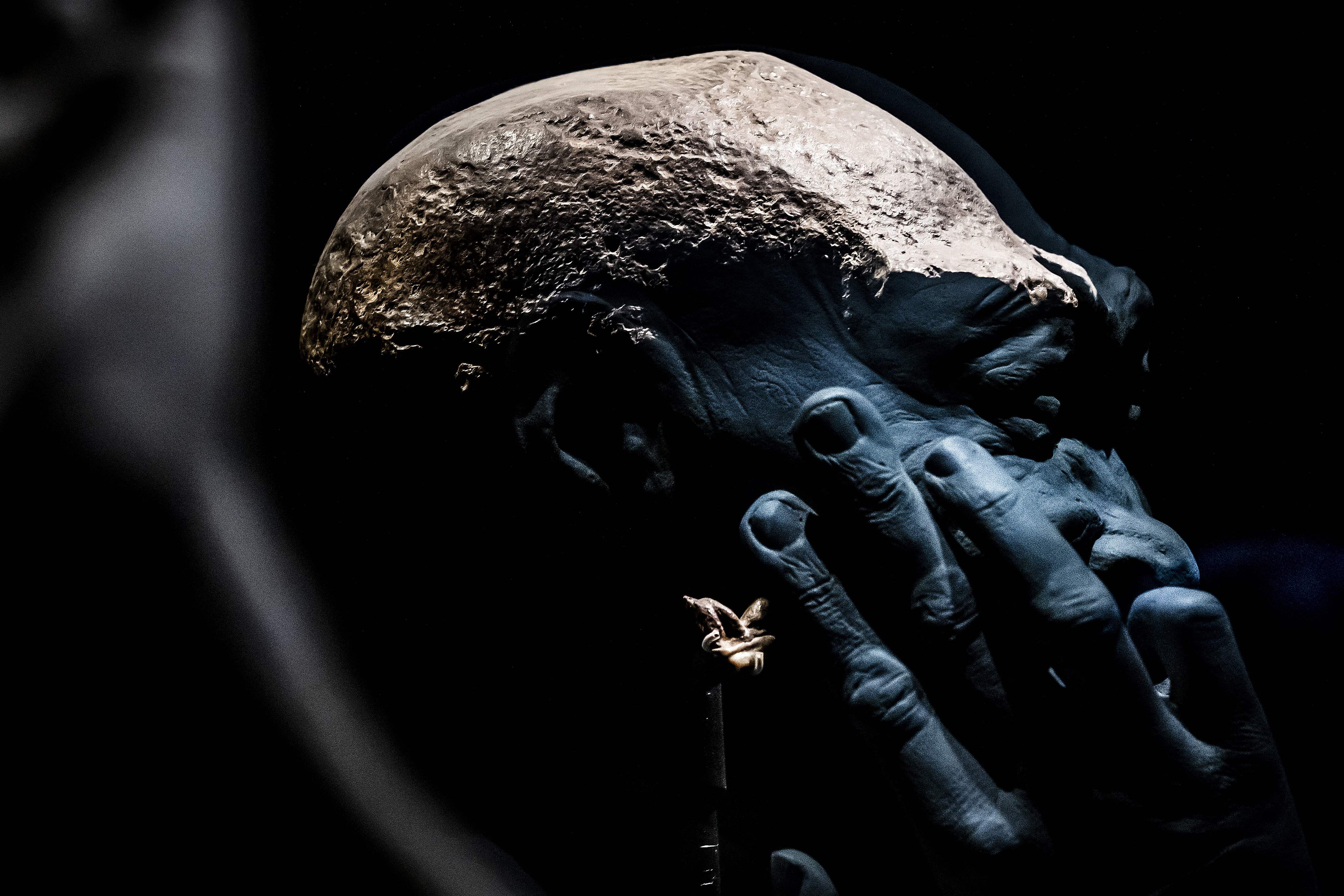 Fosil Homo Erectus (Manusia Jawa) temuan Eugene Dubois pada 1891 silam yang disimpan Belanda di Museum Naturalis.