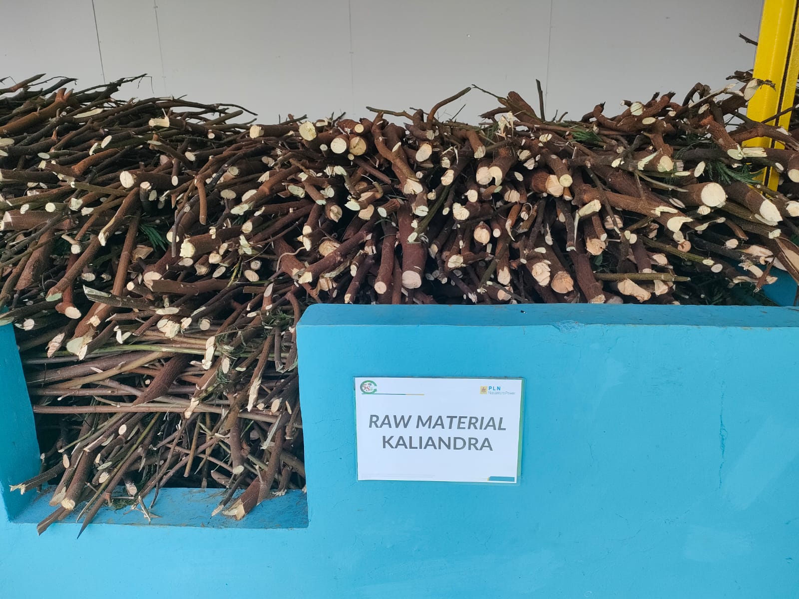 Unit Pengelola PLTA Cirata sudah panen tanaman kaliandra yang digunakan untuk energi pembangkitan baru terbarukan