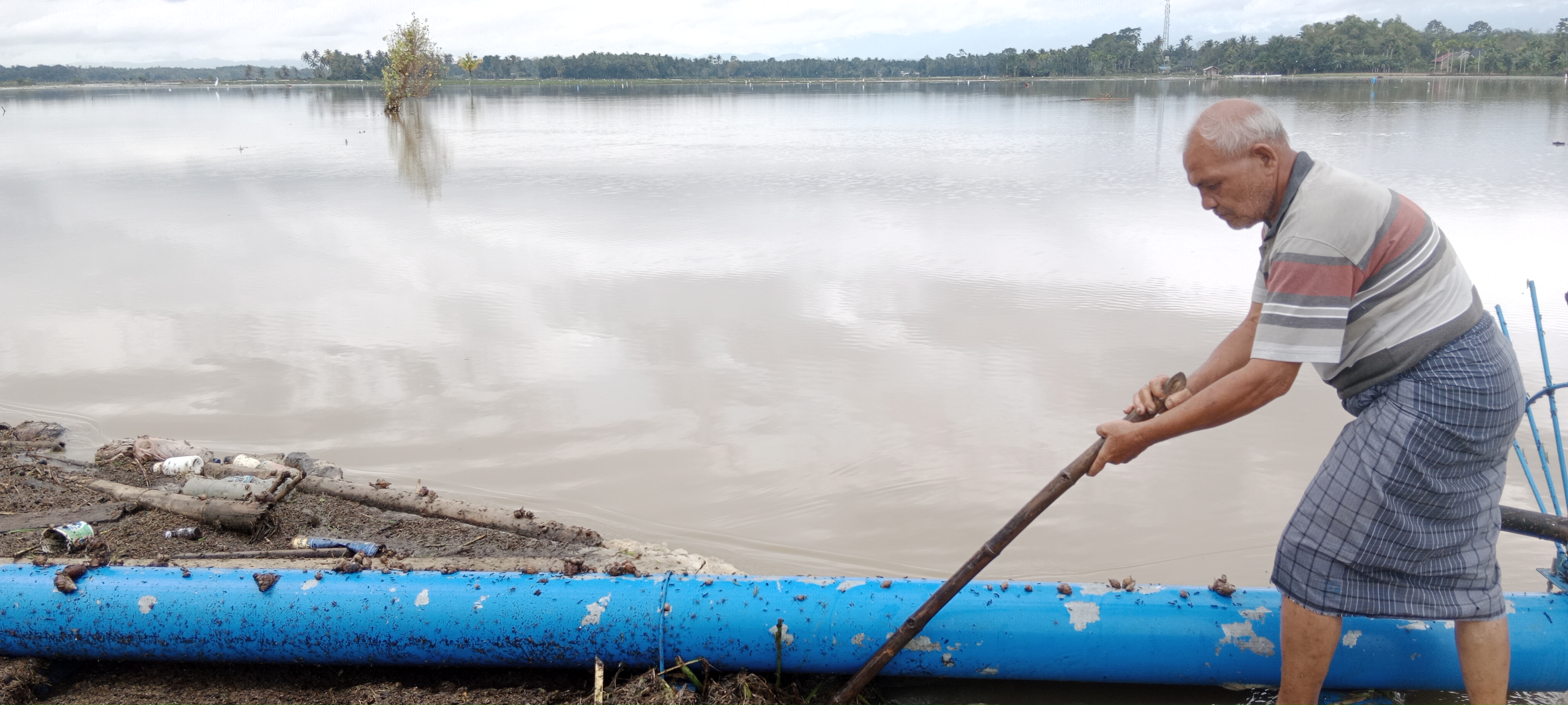  Seorang petani sedang membersihkan sedimen sampah kiriman banjir di persawahan Desa Mesjid Reubee, Kecamatan,  DelimaKabupaten Pidie, Aceh,