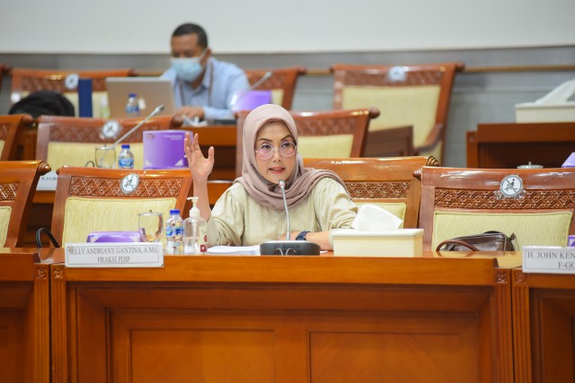Anggota Badan Legislasi DPR RI Selly Andriana Gantina