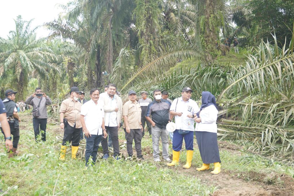 Proses eksekusi lahan PTPN IV berdasarkan keputusan hukum yang telah inkracht