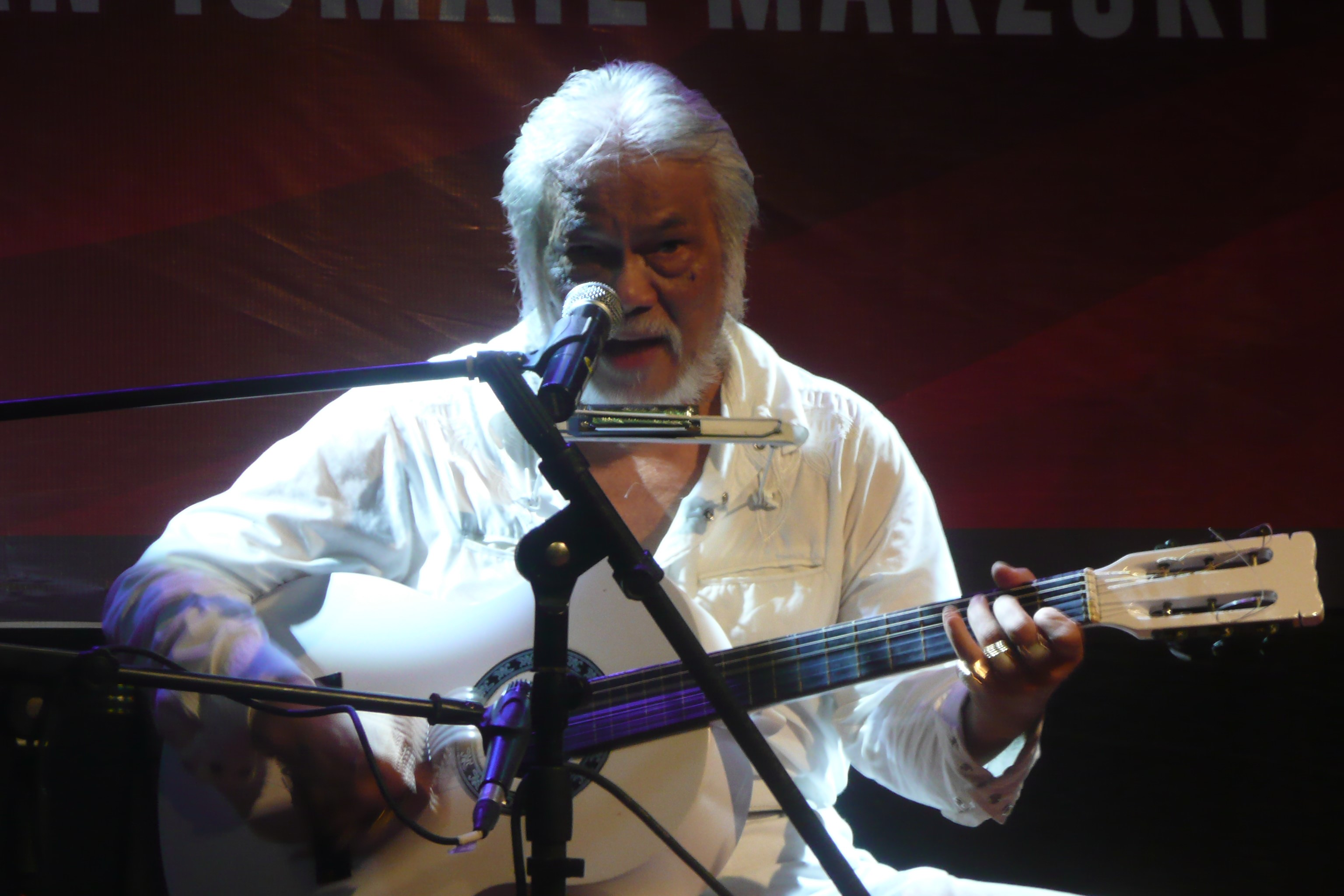 Maestro Sastra Indonesia Remy Sylado Tutup Usia