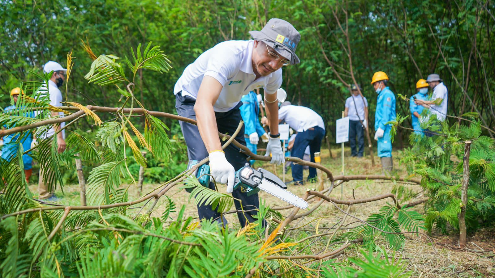 Direksi dan karyawan PT PLN Nusantara Power panen dan menanam kembali kaliandra 