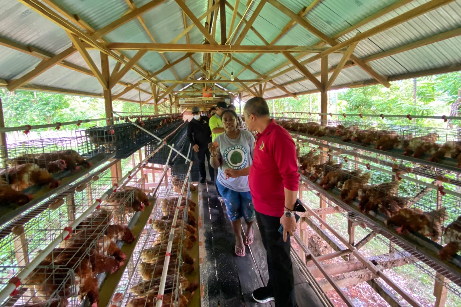 Deputi IV Bidang Intelijen Ekonomi BIN, Made Kartikajaya yang juga Pembina PMI ke lokasi peternakan di Doyo Lama, Kab. Jayapura, Papua.