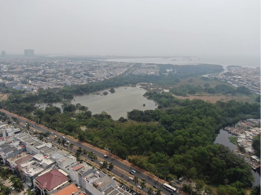 Pelestarian mangrove di Suaka Margasatwa Muara Angke