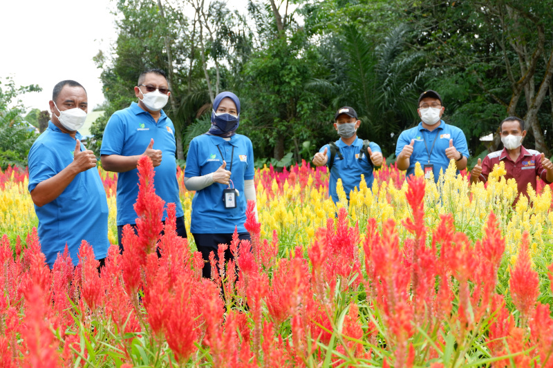 Sejumlah karyawan PT PLN Nusantara Power mengunjungi Taman Bunga Impian Okura di Pekanbaru, Riau, yang jadi binaan perusahaan
