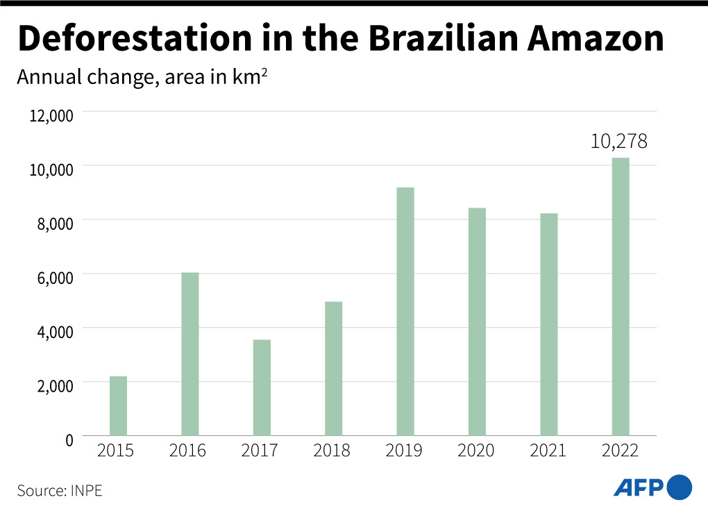 Sepertiga Kawasan Hutan Amazon Rusak karena Aktivitas Manusia