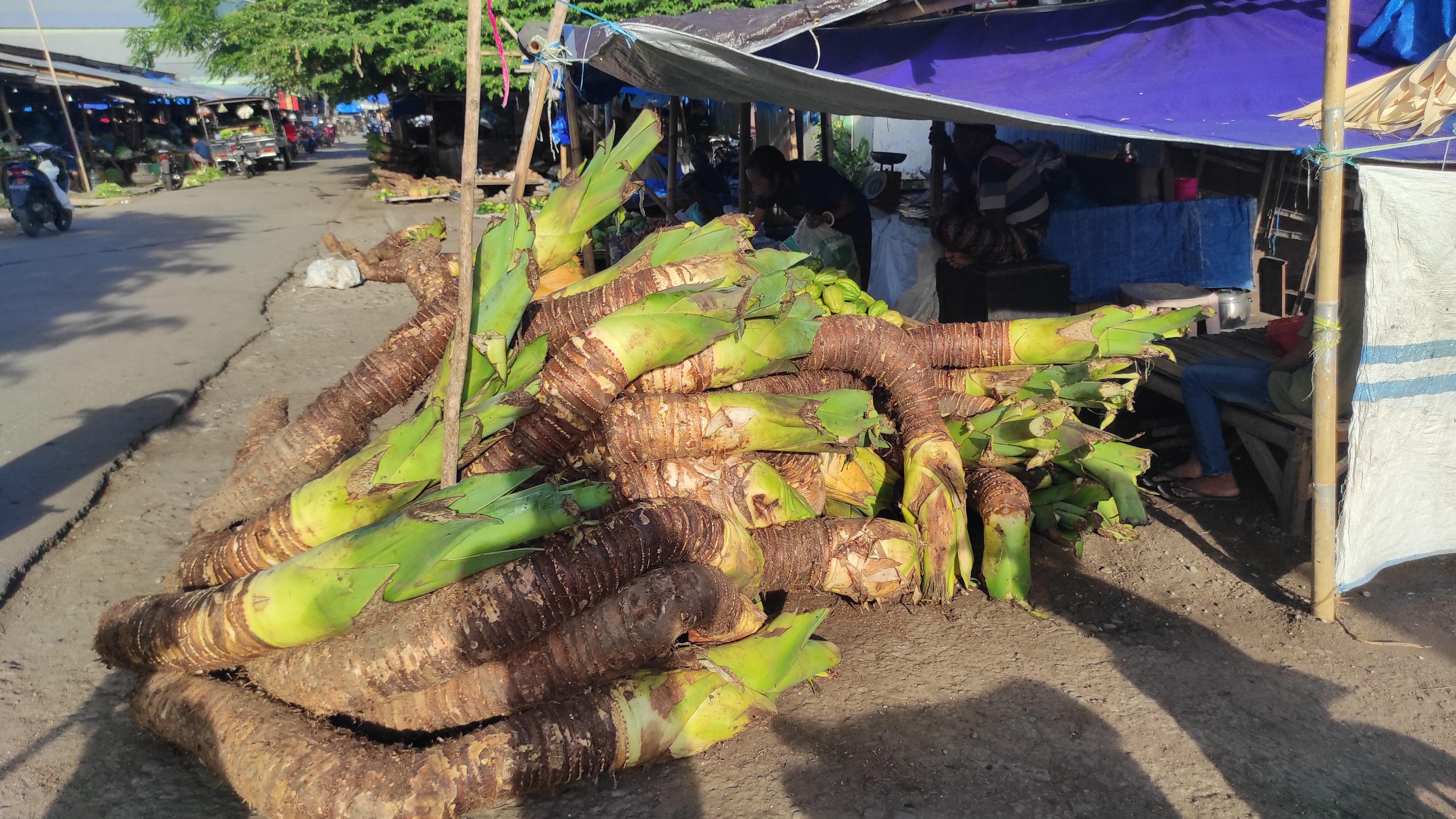 Pedagang ubian rose di Pasar Alok, Kabupaten Sikka, Nusa Tenggara Timur sepi pembeli terkena dampak virus babi (ASF) sejak dua tahun terakhi