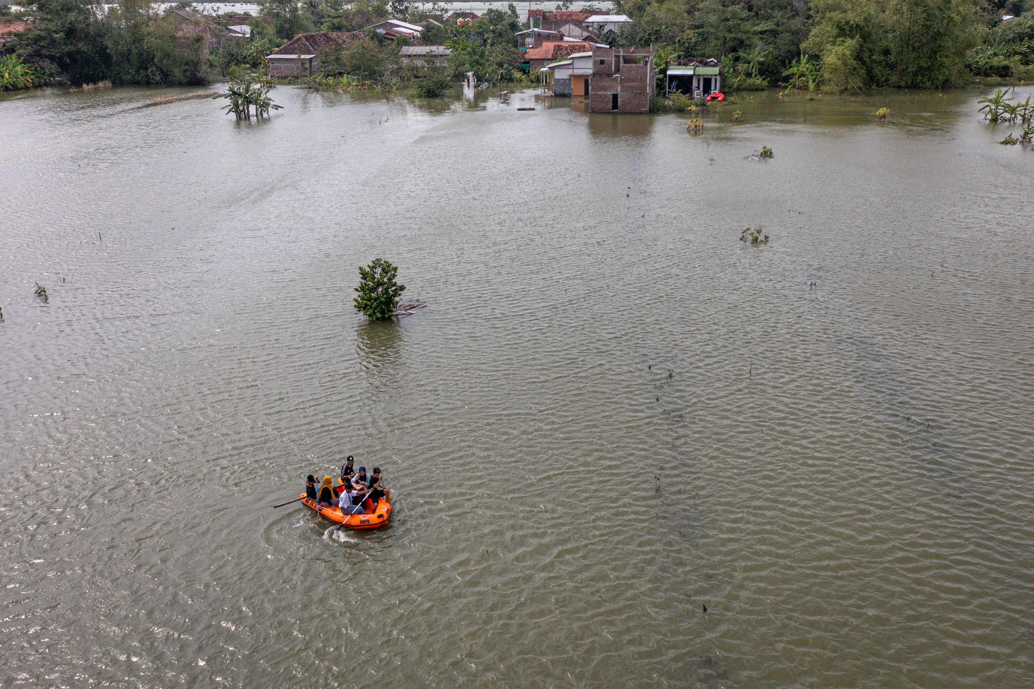 Sawah di Demak terendam banjir