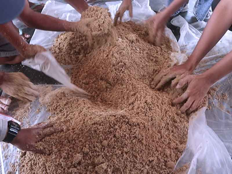 KKP Bangun Pabrik Pakan Ikan di Pasaman