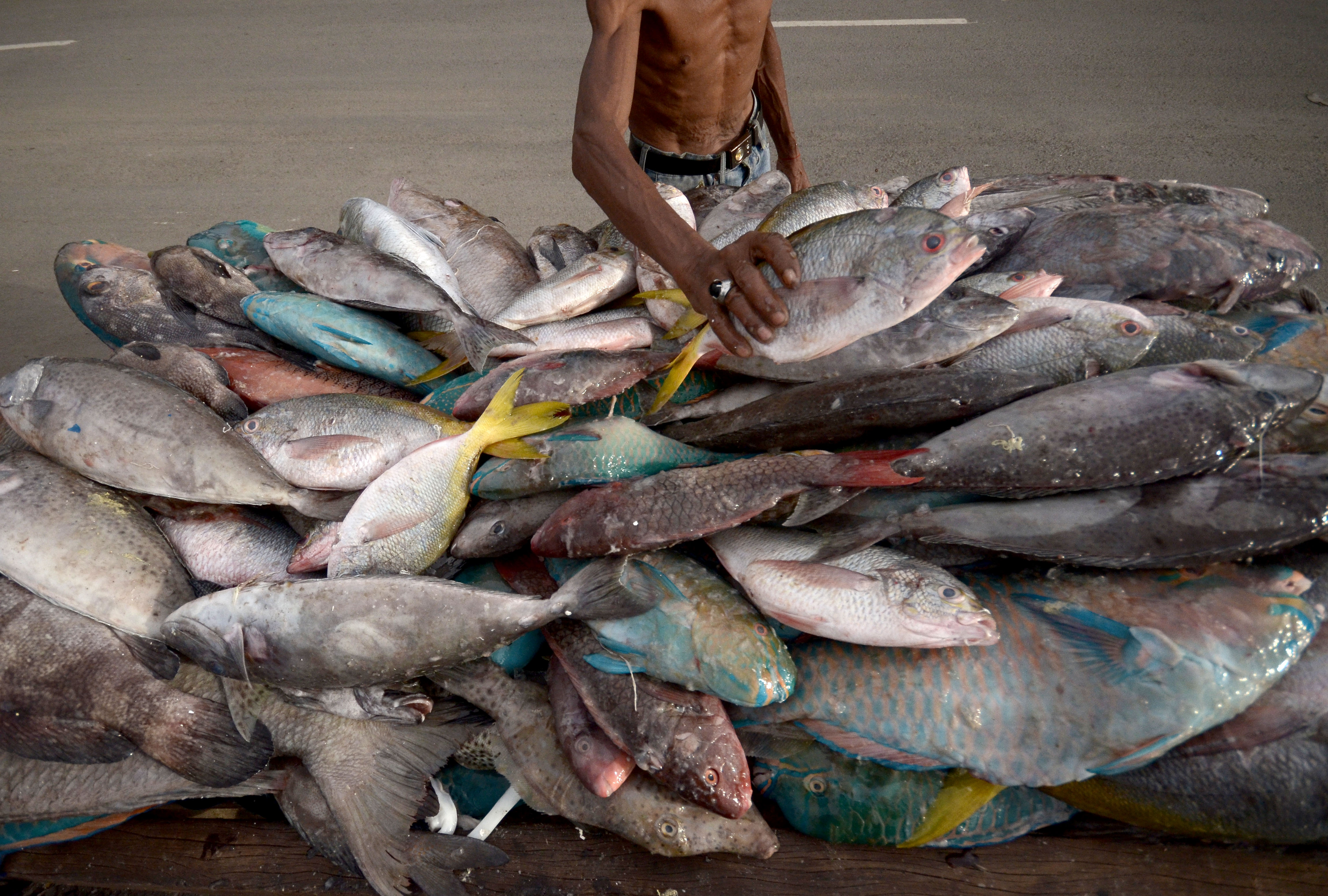 Pekerja memindahkan ikan segar hasil tangkapan nelayan pulau Selayar di pelabuhan Paotere, Makassar, Sulawesi Selatan.