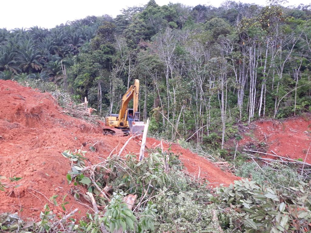 Kerusakan hutan akibat penebangan liar atau ilegal logging yang mengakibatkan bencana banjir dan tanah longsor.