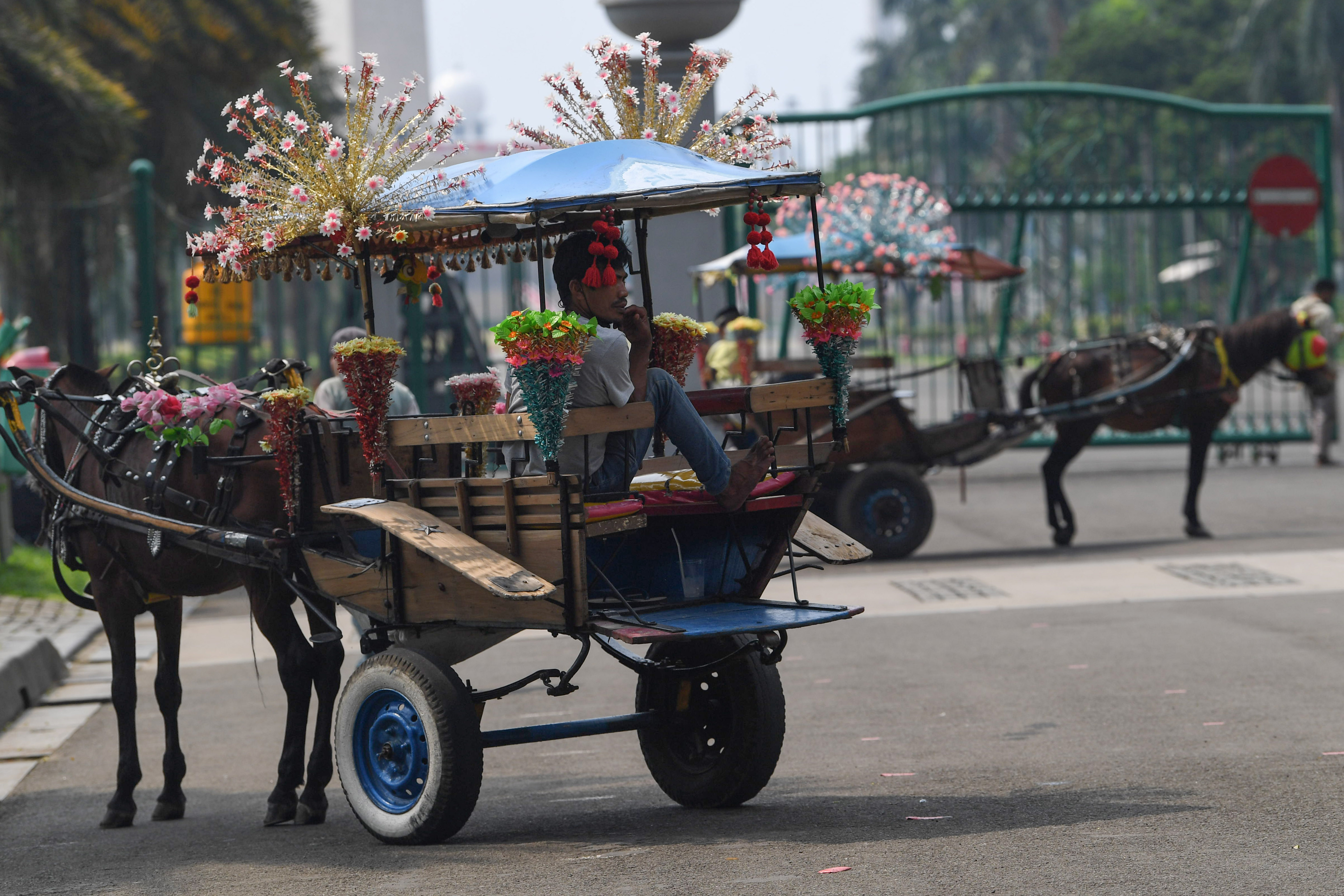 Potret kusir delman wisata saat menunggu penumpang.