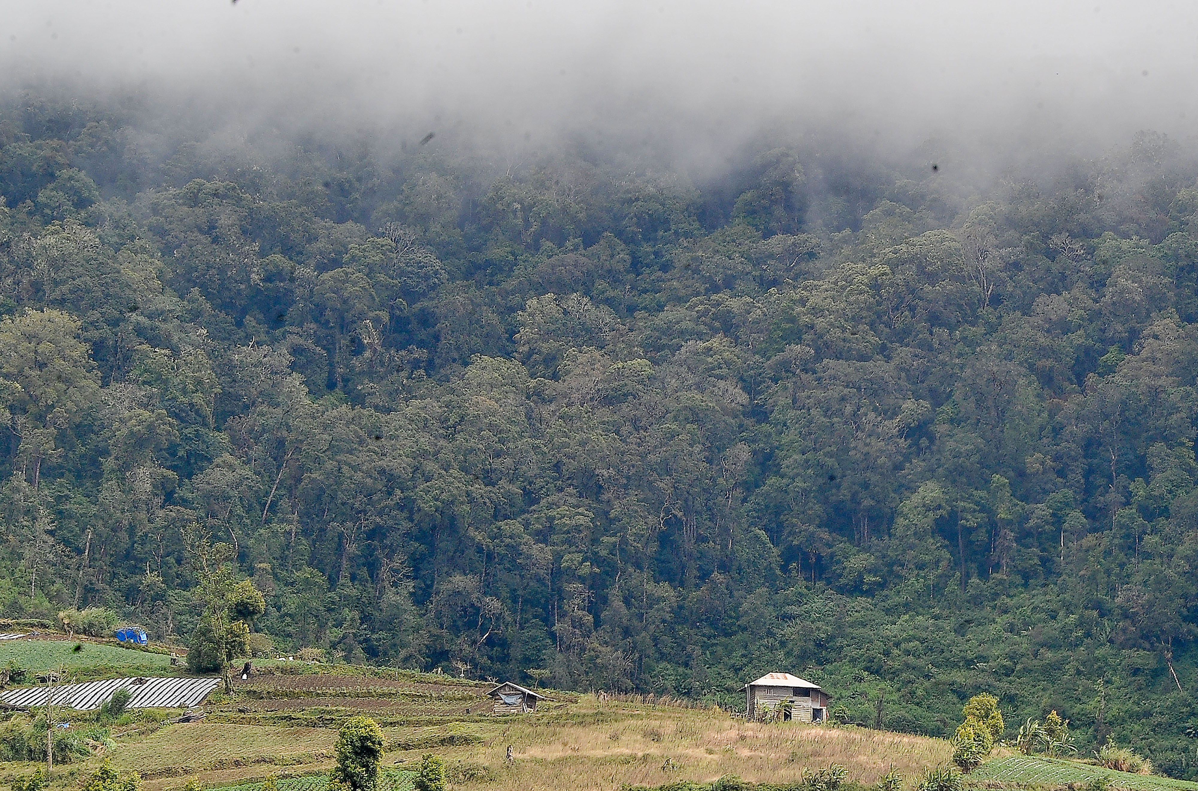 Areal persawahan di kaki Gunung Kerinci, terlihat dari Kayu Aro Barat, Kerinci, Jambi.