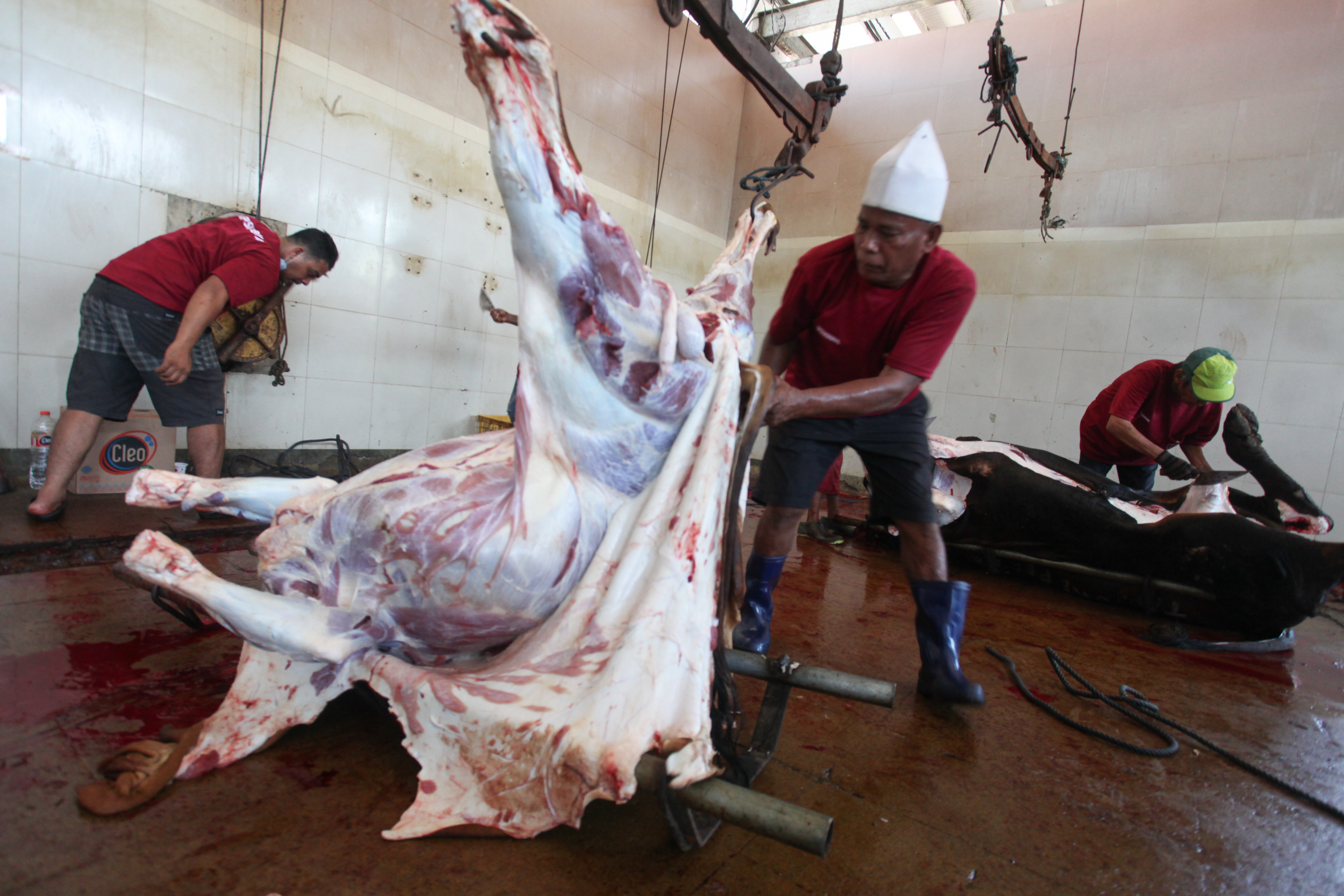 Rumah Pemotongan Hewan (RPH)