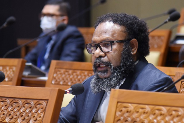 Wakil Ketua Umum Partai Demokrat Willem Wandik