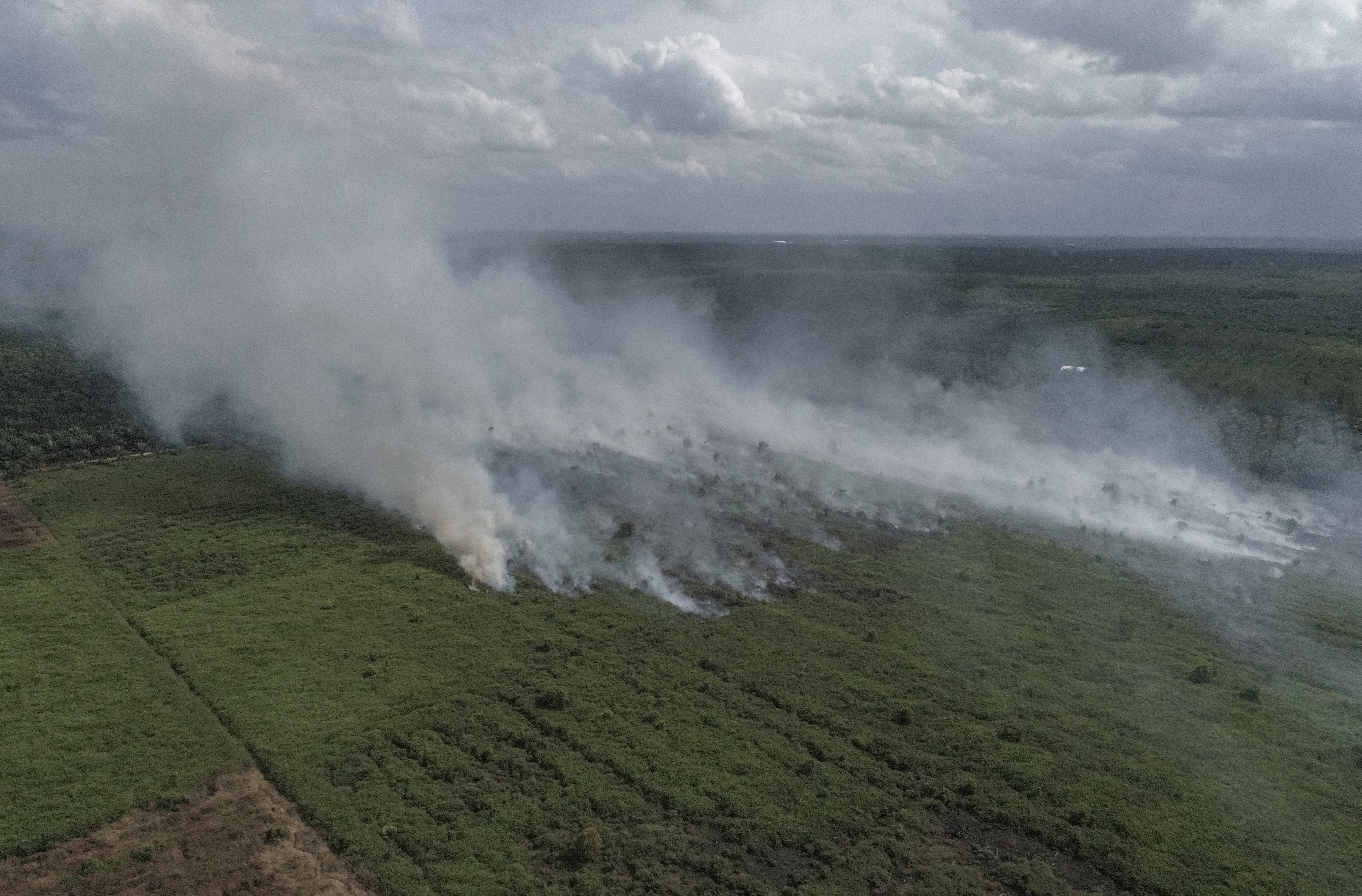 : Foto udara areal lahan gambut yang terbakar di Desa Natai Baru, Pangkalan Bun, Kotawaringin Barat, Kalimantan Tengah, Senin (2/1/2023). 
