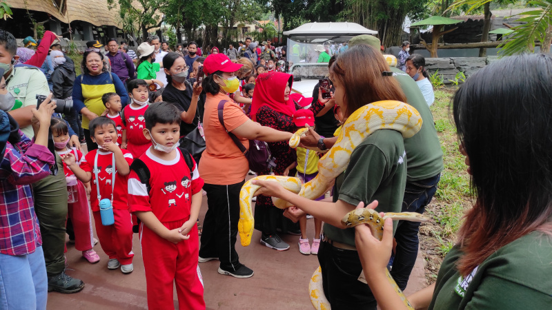 Anak-anak TK dengan ekspresi geli menyaksikan sejumlah ular yang jinak dalam pegangan sejumlah pengunjung