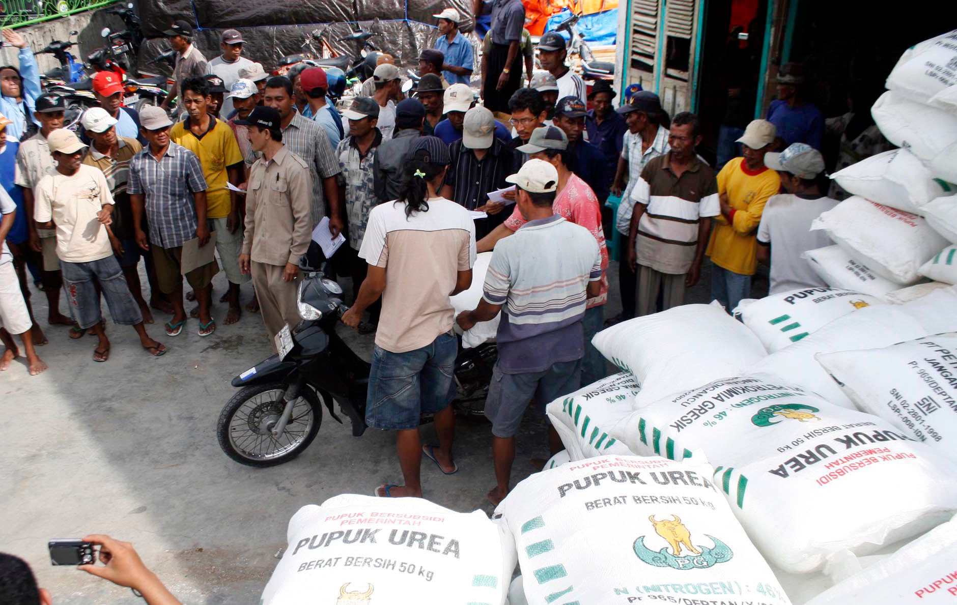 Petani mengantre untuk membeli pupuk subsidi.
