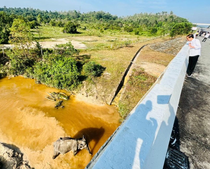 Presiden Tekankan Pembangunan Infrastruktur Harus Ramah Lingkungan