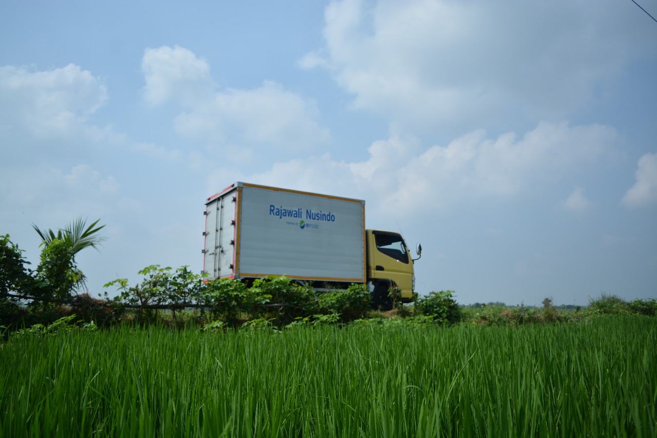 Penjualan Pangan Rajawali Nusindo Tembus Rp4,69 Triliun Sepanjang 2022