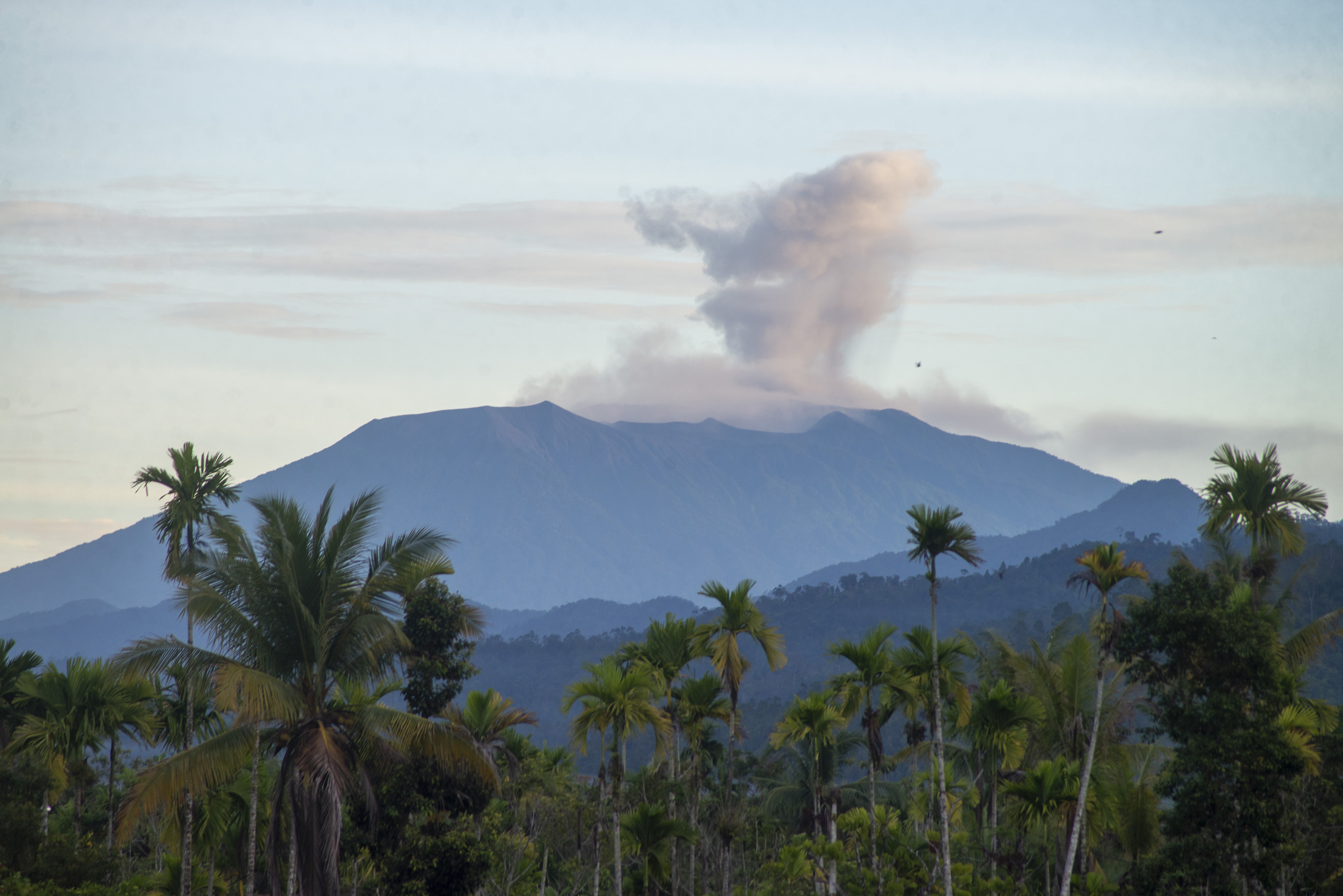Gunung Marapi mengeluarkan abu vulkanik terlihat dari Talao Mundam, Kabupaten Padangpariaman, Sumbar, Kamis (12/1).