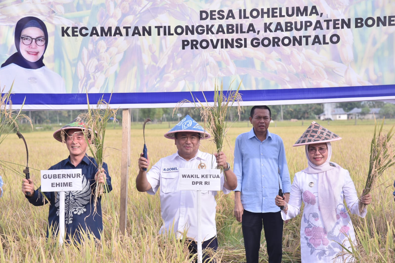 Wakil Ketua DPR RI Rachmat Gobel mendampingi delegasi dari Jepang panen padi pupuk organik di Gorontalo, Kamis (19/1).