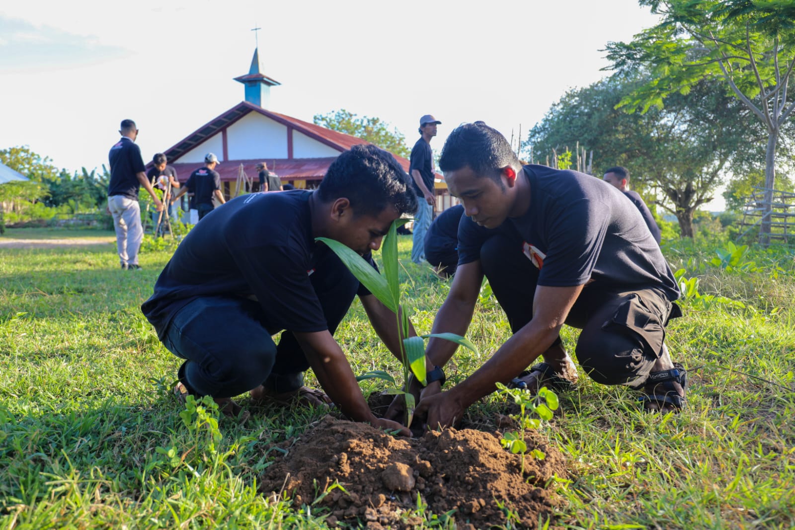 Peringati Hari Gerakan Sejuta Pohon se-Dunia, GMC NTT Tanam 5.000 Bibit Pohon